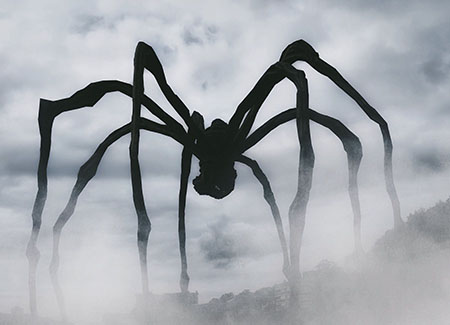 photo créature Arachnide